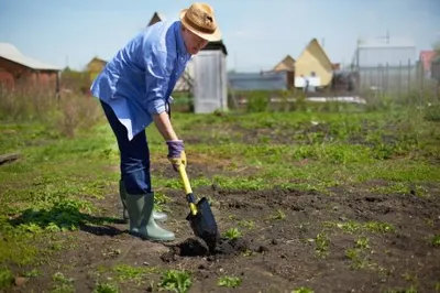 Как работа на огороде и в саду помогает сбросить вес и привести себя в форму