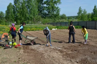 Как Работа в саду и огороде влияет на здоровье? | Все о еде, природе и  овощах | Дзен