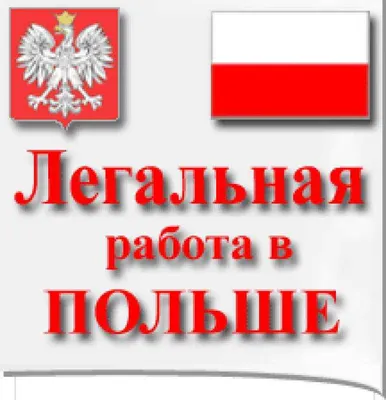 3 истории украинцев о работе в Польше — 