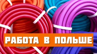 Украинцы в Польше – какую зарплату предлагают в разных городах, новости 1+1  — Деньги