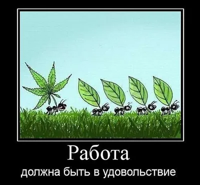 РАБОТА В РАДОСТЬ. КАК ЭТОГО ДОСТИЧЬ? ::  | Brilliant Life's Style  | Дзен