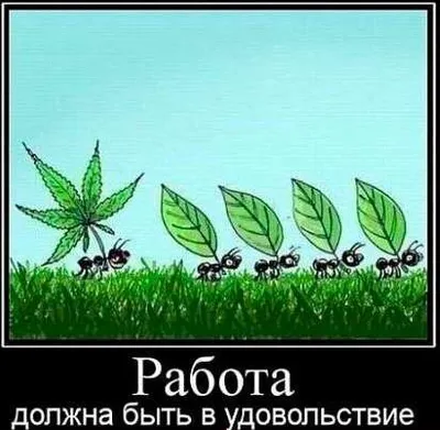 Что такое «работа мечты»? Вот что говорят факты.