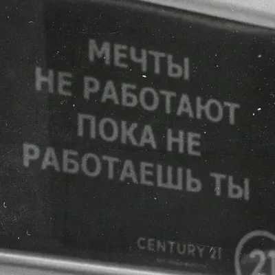 Вот так рабоеташь, работаешь... приходишь домой - и приуныл... - Собаки  оборзели в край, корм подорожал, мыши все невкусные, не… | Юмор, Смешные  шутки, Смешной юмор