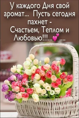 Российский Сервис Онлайн-Дневников | Amazing flowers, Flowers photography,  Pretty flowers