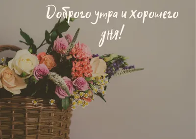 Как сделать утро добрым? Доброе утро! Утро доброе! Картинки, цитаты, статьи.