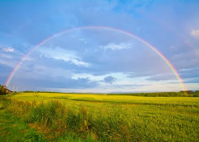 Из России в Китай»: жители Хэйхэ поделились фото радуги над Амуром