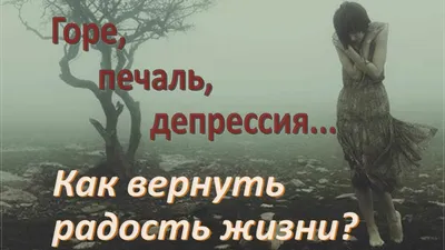 Радуйтесь жизни сейчас и вечно! Интерактивный библейский курс | Книга для  изучения Библии