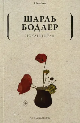 Рая и последний дракон анимационный фильм Рая и дракон фото 4K загрузка  обоев