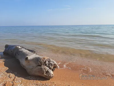 Комплекс Райский уголок, Чертовицы, Воронежская область, цены от 15000 руб.  | Бронирование домиков на 