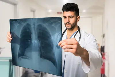 Structures of the Mediastinum - USJMX