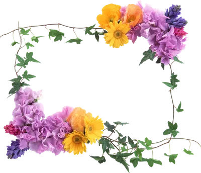 Рамка из цветов PNG #3 скачать клипарт бесплатно - Clipart-DB | Purple  flowers wallpaper, Flower background wallpaper, Flower border