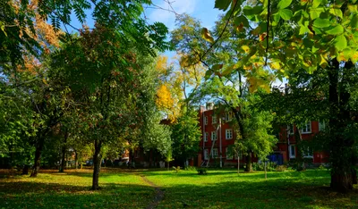 Картинки осень, ранняя осень, лес, река, ручей, водопад, камни, мох, листья  - обои 1280x1024, картинка №187638