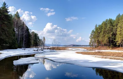 Картинка Ранняя весна на лесной речке » Весна » Природа » Картинки 24 -  скачать картинки бесплатно