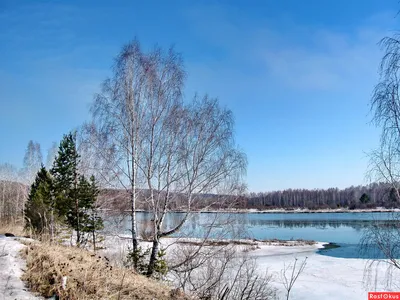 Фото: Природа - ранняя весна.. Фотограф Галина Кузнечевская. Природа -  Фотосайт Расфокус.ру