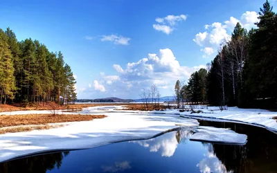 Картинка Ранняя весна на таежной реке » Весна » Природа » Картинки 24 -  скачать картинки бесплатно