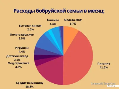 До 40% тратим на еду. Белстат подсчитал денежные расходы средней  белорусской семьи | Новости Полоцка и Новополоцка на 