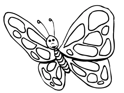 рисунок контурный эскиза раскраски бабочки вектор PNG , рисунок бабочки,  рисунок крыла, рисунок кольца PNG картинки и пнг рисунок для бесплатной  загрузки