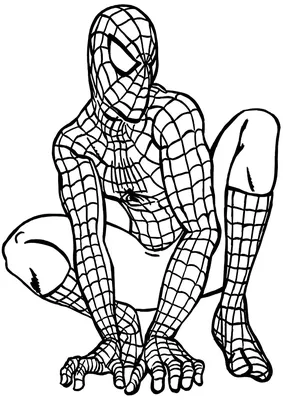 Раскраски Человек паук | Spider coloring page, Snake coloring pages, Super  mario coloring pages