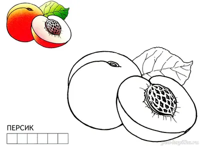 Раскраски для детей фрукты скачать и распечатать