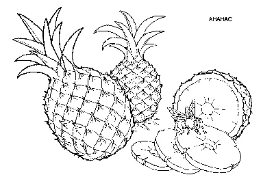 Раскраска «Фрукты», 16 стр. купить в Чите Раскраски в интернет-магазине  Чита.дети (10060311)