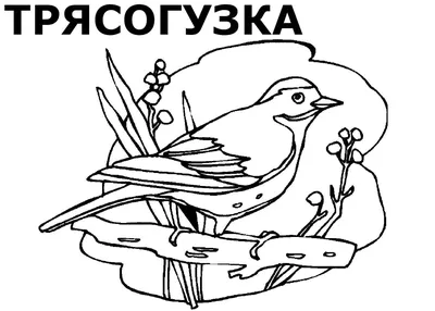 Раскраски Птичий домик: для печати, бесплатно и легко раскрашивать