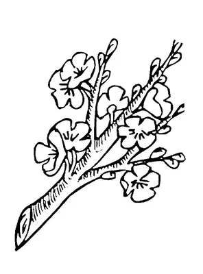 Раскраски весна для детей | Coloring pages, Free printable coloring pages,  Coloring pages nature