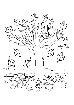 Осенние деревья: скачать и распечатать раскраски — 