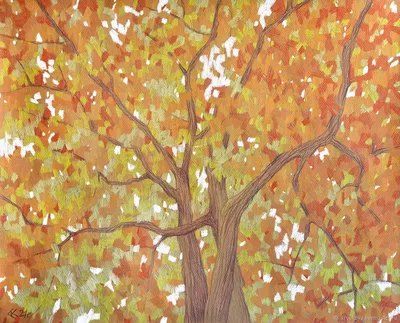 Раскраска по теме Осень для детей. Деревья осенью