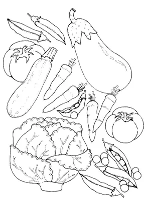 Раскраски овощи
