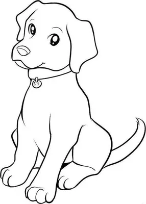 Собака карандашом раскраска (30 шт)