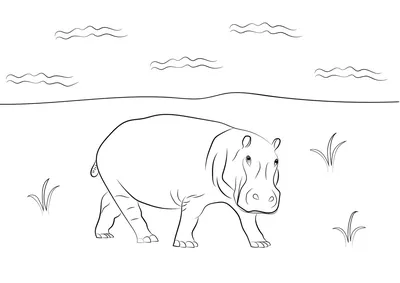 Раскраски с животными для 4 лет (55 фото) » рисунки для срисовки на  Газ-квас.ком
