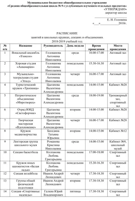 Расписание занятий в школьных кружках, секциях и объединениях 2018-2019  учебный год — МБОУ СОШ № 9