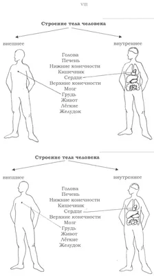 Билим булагы – Биология:Органы и системы органов человека