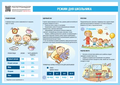 Роспотребнадзор напоминает родителям о режиме дня школьника - 15 Августа  2016 - Гимназия города Слободского