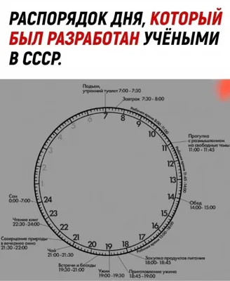 Интерактивная тетрадь. Время и распорядок дня - купить с доставкой по  Москве и РФ по низкой цене | Официальный сайт издательства Робинс