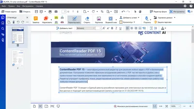 Новогодняя распродажа! Скидка 40% на бестселлеры: редактор ContentReader  PDF и электронные словари Lingvo by Content AI