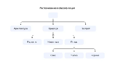 14 лучших программ и сервисов для распознавания текста с фото