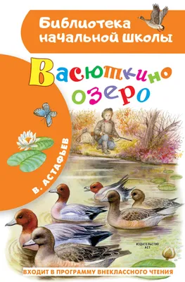 Конспект урока по литературе на тему "В.П.Астафьев Рассказ "Васюткино озеро"