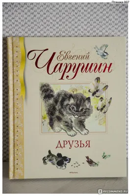 Рассказы Евгения Чарушина о животных: лучшая детская литература о природе.  | Майшоп