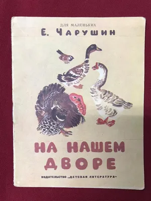 Иллюстрация 15 из 34 для Две мышки - Евгений Чарушин | Лабиринт - книги.  Источник: Аун Инга