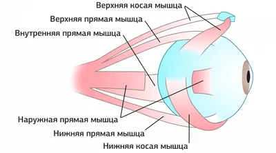 Зарядка для глаз Relax. Eye training. - YouTube