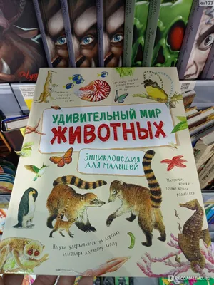 Сидим дома и развиваемся. Продолжаем знакомить детей с миром животных (8  фото). Воспитателям детских садов, школьным учителям и педагогам - Маам.ру