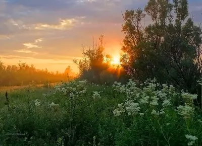 Картинка рассвет солнца на природе - 68 фото