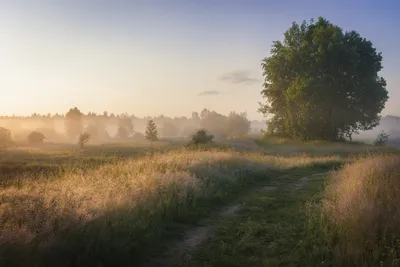 Теплый июньский рассвет. Photographer Aleksandr Kirov