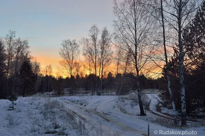 Фреска Ортограф, Рассвет в лесу, арт. 6730 - купить в Москве.