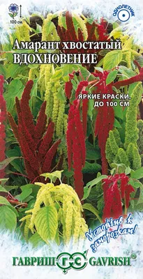 ✓ Семена Амарант Вдохновение, 0,5г, Гавриш, Устойчив к заморозкам по цене  30 руб. ◈ Большой выбор ◈ Купить по всей России ✓ Интернет-магазин Гавриш ☎  8-495-902-77-18