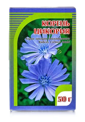 Цикорий обыкновенный, корень 50гр. купить в Москве в одном из наших  магазинов или с бесплатной доставкой по Москве в интернет-магазине по  низкой цене. Рецепты, применение, отзывы.