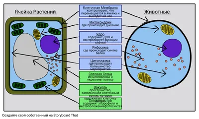 Ученые: массовое вымирание растений и животных уже началось