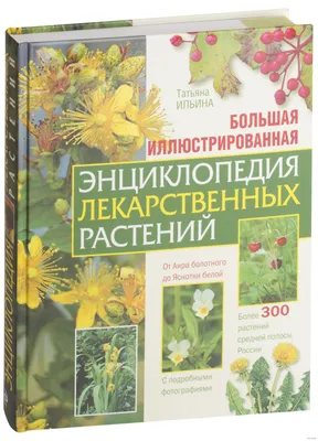 Панно из искусственных растений (ботанические копии) – заказать на Ярмарке  Мастеров – LUDYERU | Панно, Иваново