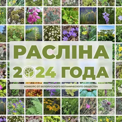 Эти растения под запретом! – Жыццё Палесся. Мозырь